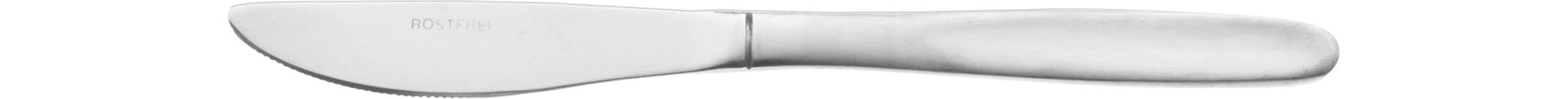 Monita 5918, Menümesser Monoblock 208 mm Stiel mattiert